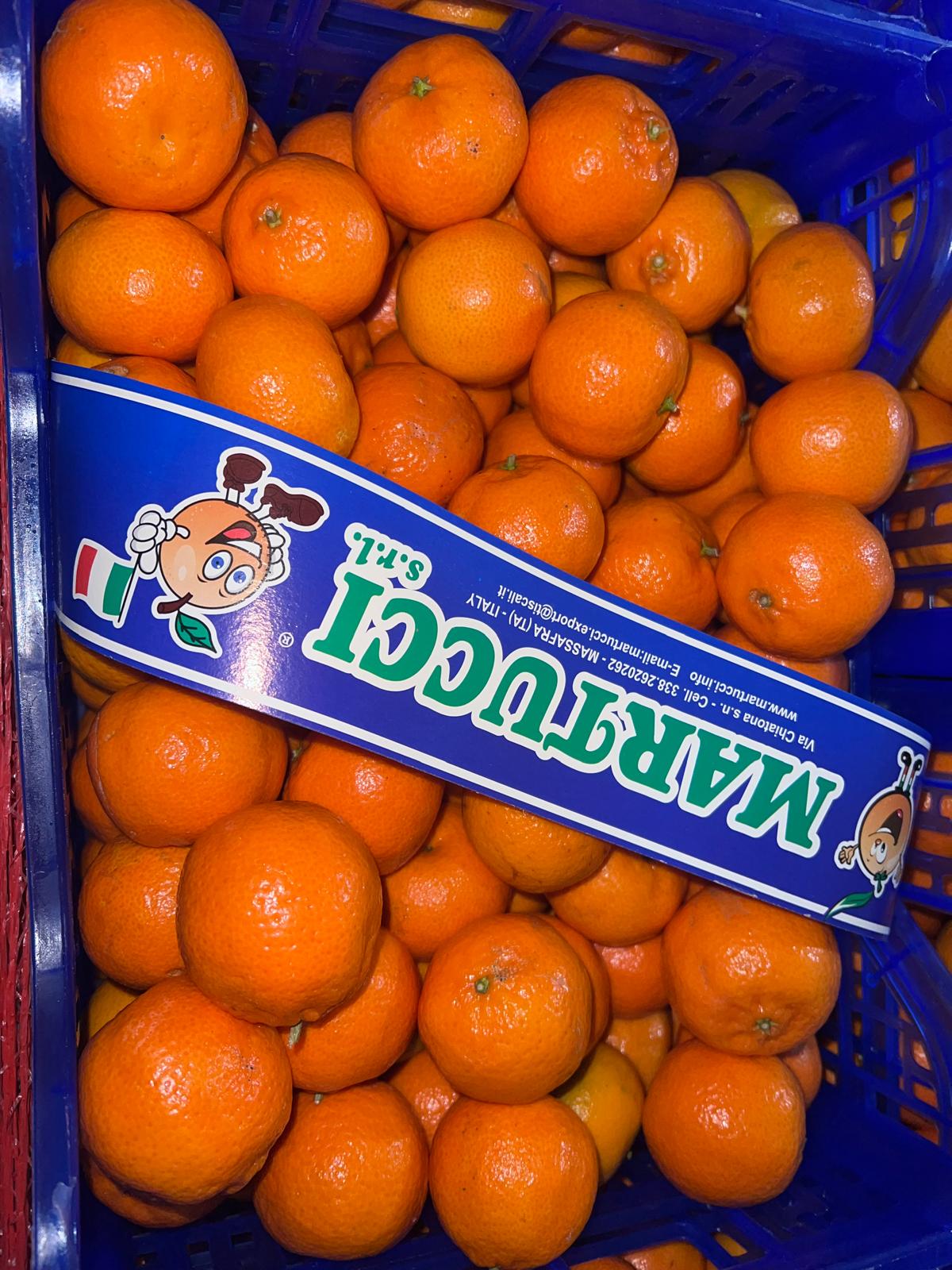 Świeże mandarynki Martucci w niebieskiej skrzynce