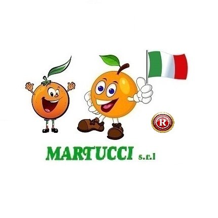 Logo Martucci S.R.L